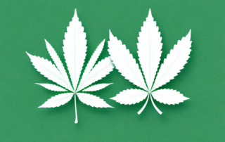A medical cannabis leaf placed on the german map