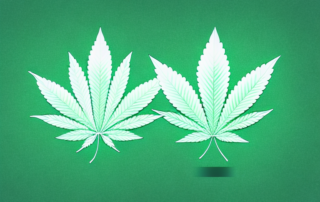 A marijuana leaf with a chemical structure overlay symbolizing thc