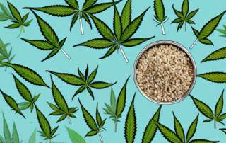 A flourishing cannabis plant sprouting from a pile of birdseed