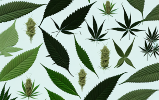 Various hemp fabric products like clothes