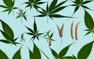 Different species of birds perched on a hemp plant