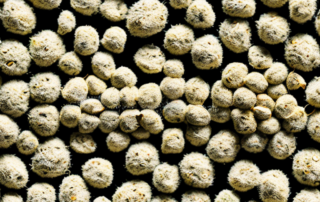 Hulled and unhulled hemp seeds
