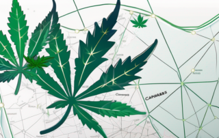 The european union map with cannabis leaves sprouting from different regions