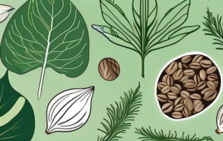 Various types of seeds from the royal queen collection