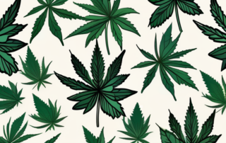 A jar of cbd cream with hemp leaves around it and rays of light emanating from it