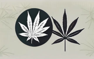 A marijuana leaf and a pill