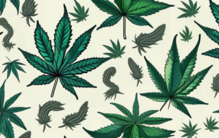 Various cannabis leaves scattered around