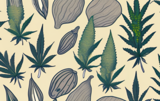 A variety of cannabis seeds scattered on a surface