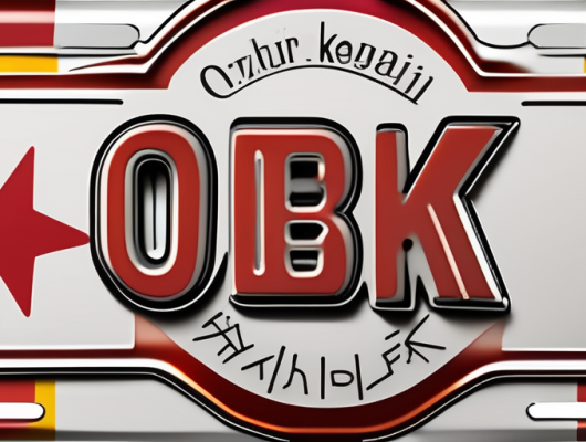 A german car license plate with the letters "obk" and a few customizable elements around it