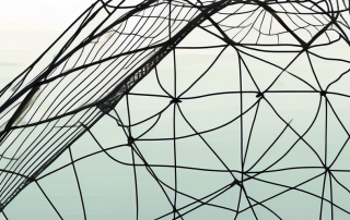 A life insurance policy enveloped in a safety net