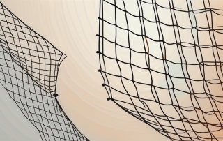 A safety net with a few holes in it
