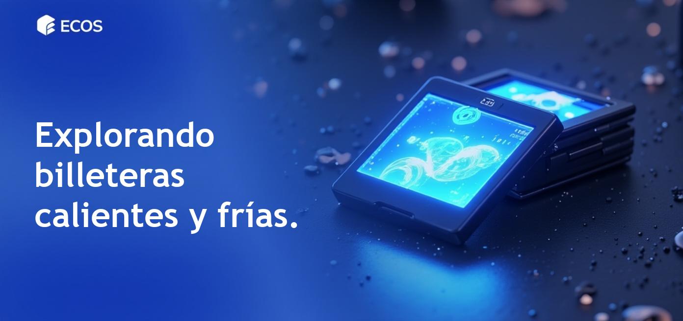 Diferencias entre billeteras frías y calientes para criptomonedas.