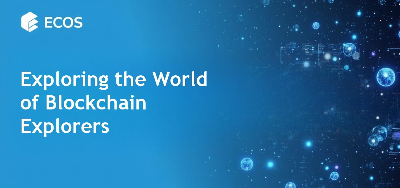 Detailed diagram demonstrating how blockchain explorers function and their significance in cryptocurrency transactions.