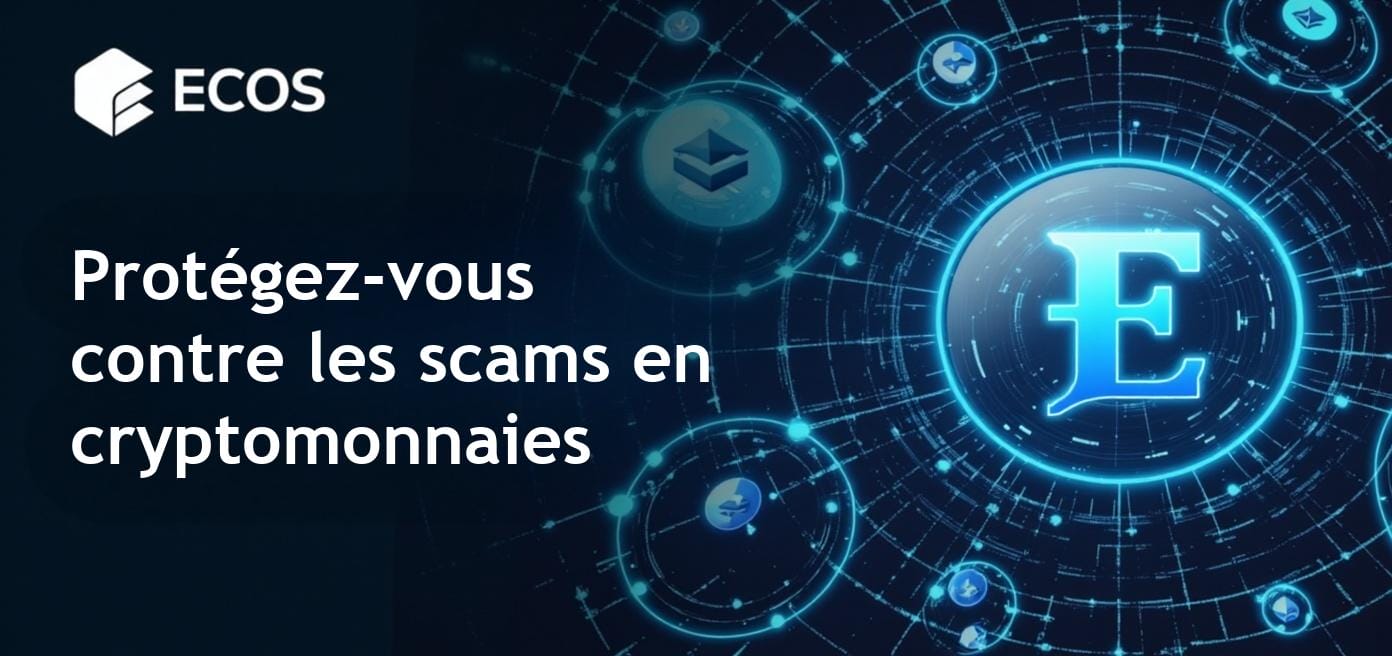Exemples réels de scams en cryptomonnaies avec des graphiques illustratifs et des mises en garde.