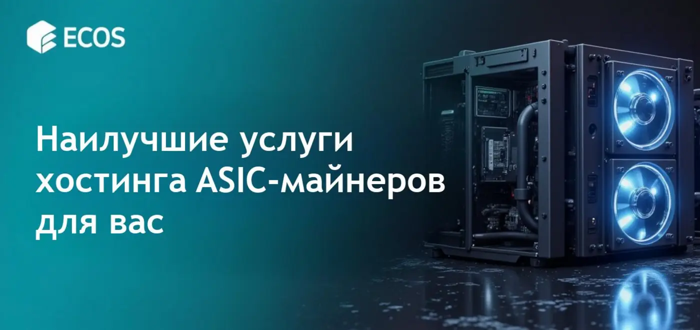Сравнение услуг хостинга ASIC-майнеров с акцентом на эффективность.