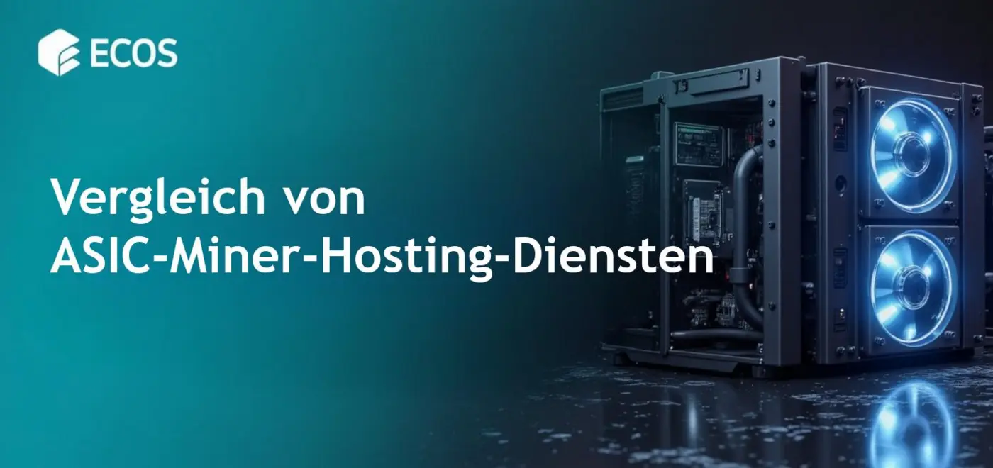 Umfassende Anleitung zu ASIC-Miner-Hosting-Dienstleistungen mit wertvollen Einblicken.