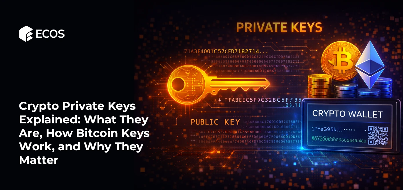 What Crypto Private Key Are and How Bitcoin Keys Work
