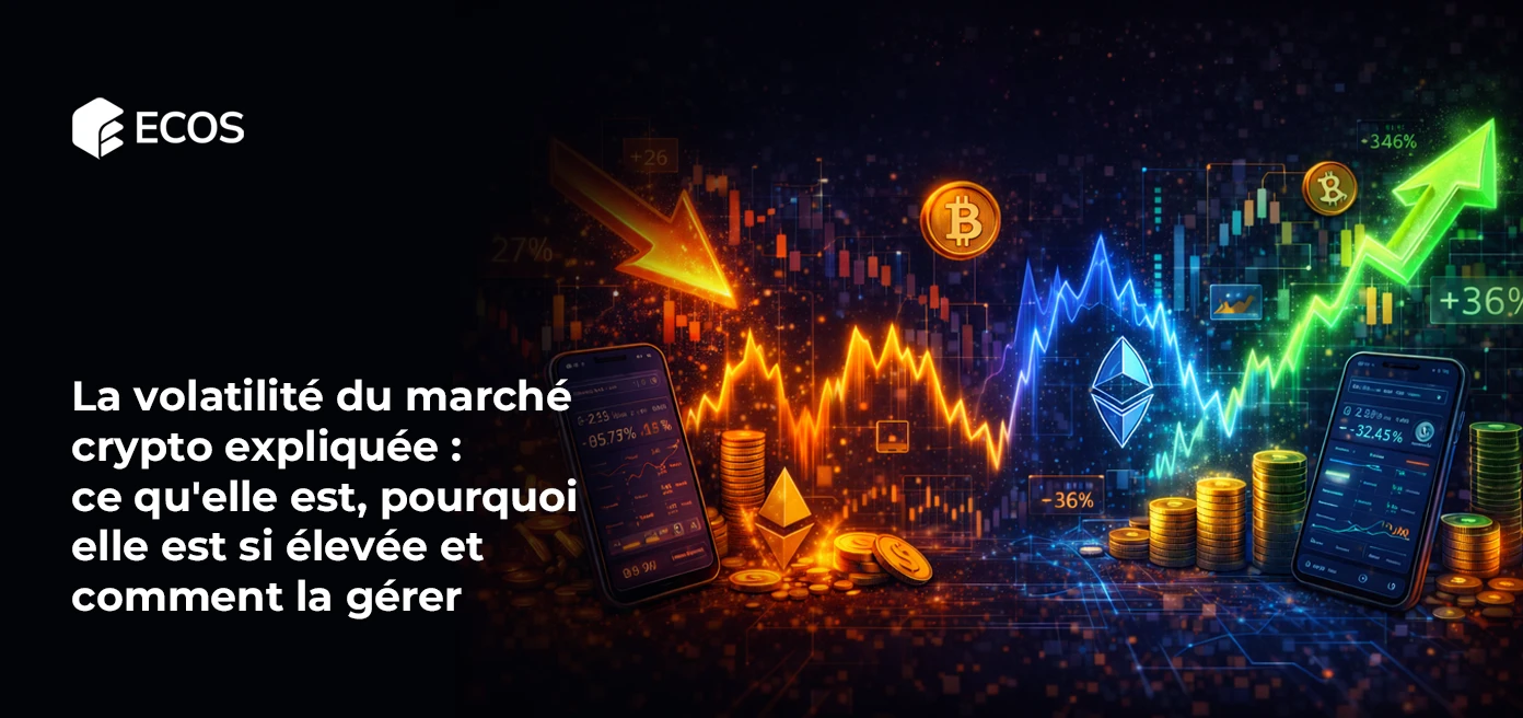 Volatilité du marché crypto : causes, mesures et stratégies