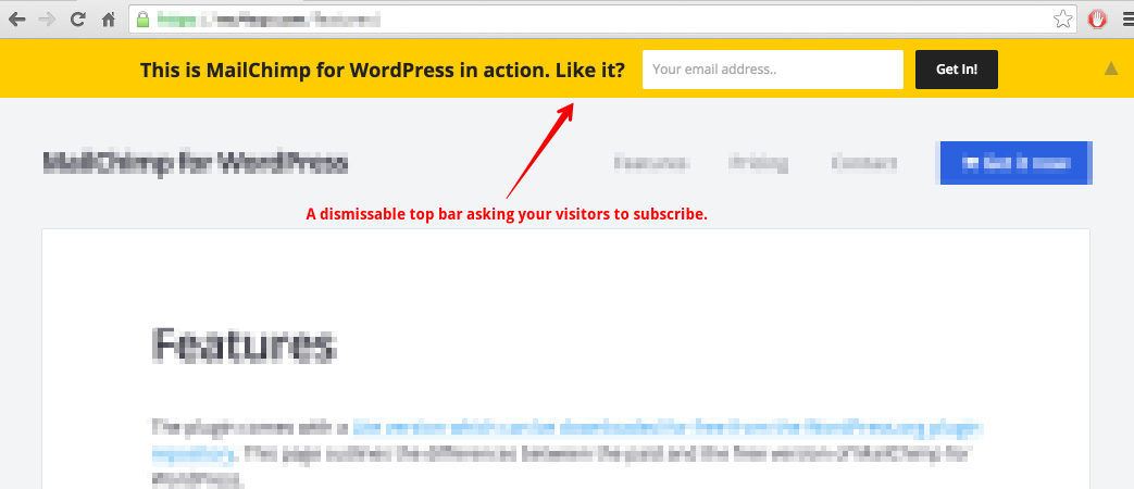 mailchimp topbar screenshot-1