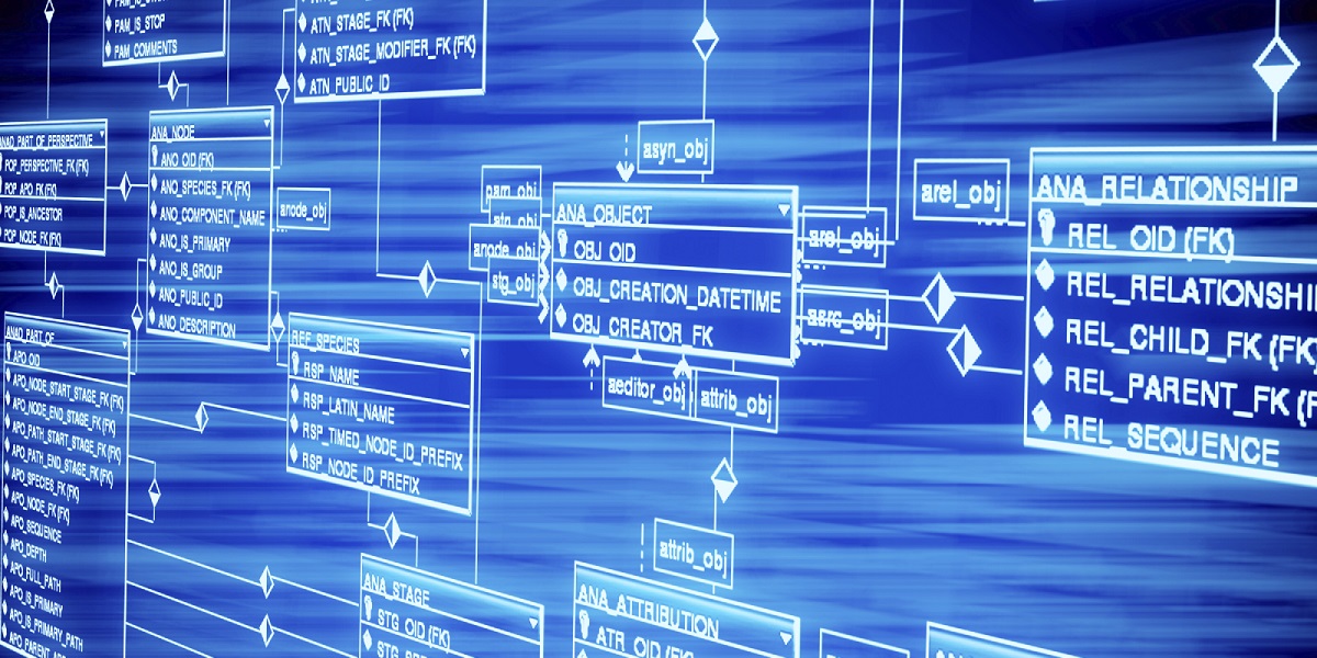 Database table