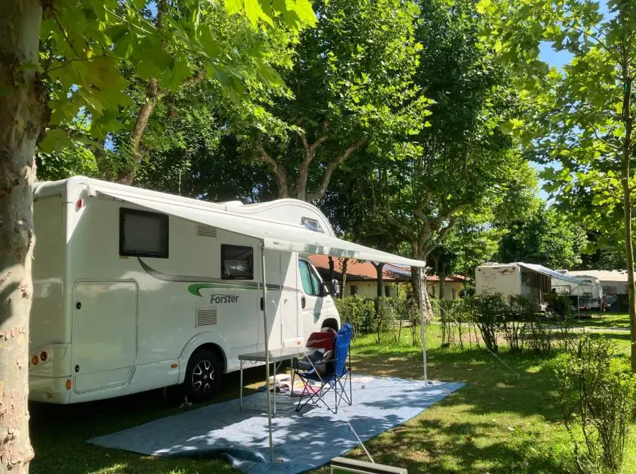 Forster Modellbezeichnung ... - Bild 8