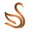 Slate of Swan