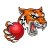 cricketbet999