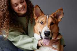 Winter Wellness: 7 Easy Steps to Protect Your Pets, Chicago
