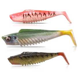 Unleashing the Best Fishing Experience at Brisbane, $ 0