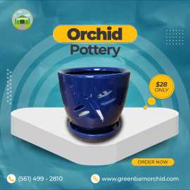 Enhance Orchids with Stunning Orchid Pottery , $ 28
