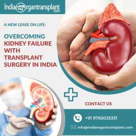 Top 10 Kidney Transplant Doctors in India, Noida