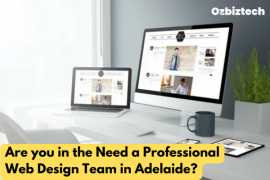 Need a Professional Web Design Team in Adelaide?, Sydney