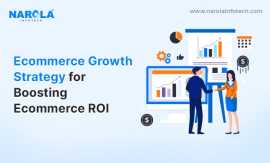 Ecommerce Growth Strategy for Boosting ROI, Chantilly