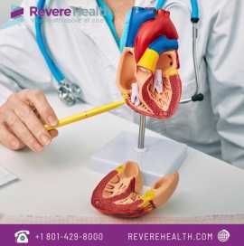 Trusted Cardiologist in Utah | Revere Health, Provo
