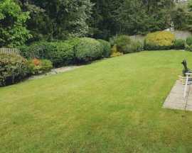 Landscaping Services Sydney, Sydney