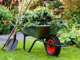 Gardening Services Sydney, Sydney