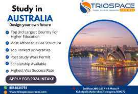 Study Abroad Consultants in Hyderabad - TrioSpace , Hyderabad