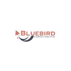 Dubai Work Visa Online Apply /Bluebird Consultancy, Ajman