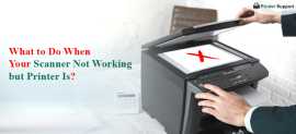  When Your Scanner Not Working but Printer is, New York