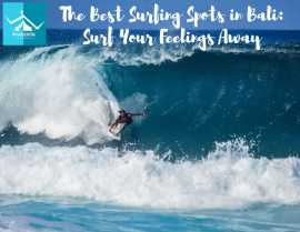 Exotic Escapes Await: 50 Bali Tour Packages