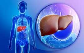 Premium Liver Transplant Cost in India, Gurgaon
