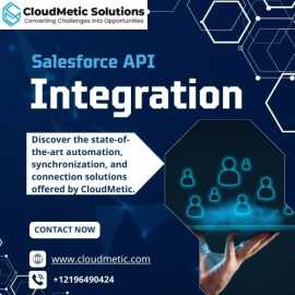 Salesforce API Integration, New Rochelle