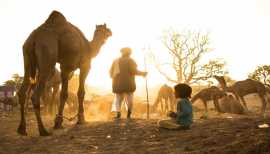 Budget-Friendly India Tour Packages | Souvenir Tra, Jaipur