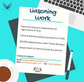 Liasioning Work: Falcon 18 Imports Pvt Ltd, Delhi