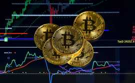 Important Things You Need To Be A Successful Bitco, Calgary