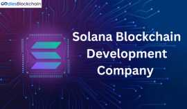 Solana Blockchain Development Company , Sheridan