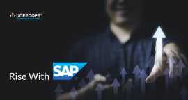 SAP Customisation & Implementation Solutions , Noida