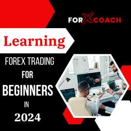 Learning Forex Trading For Beginners in 2024, Mandi