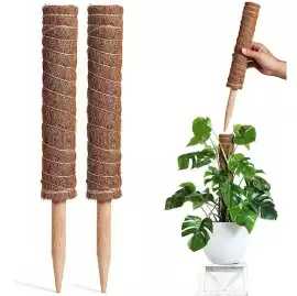Moss Poles: Green Solutions for Vertical Planting, $ 9