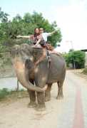 Elefriend - Best Elephant Rides in Jaipur, Jaipur